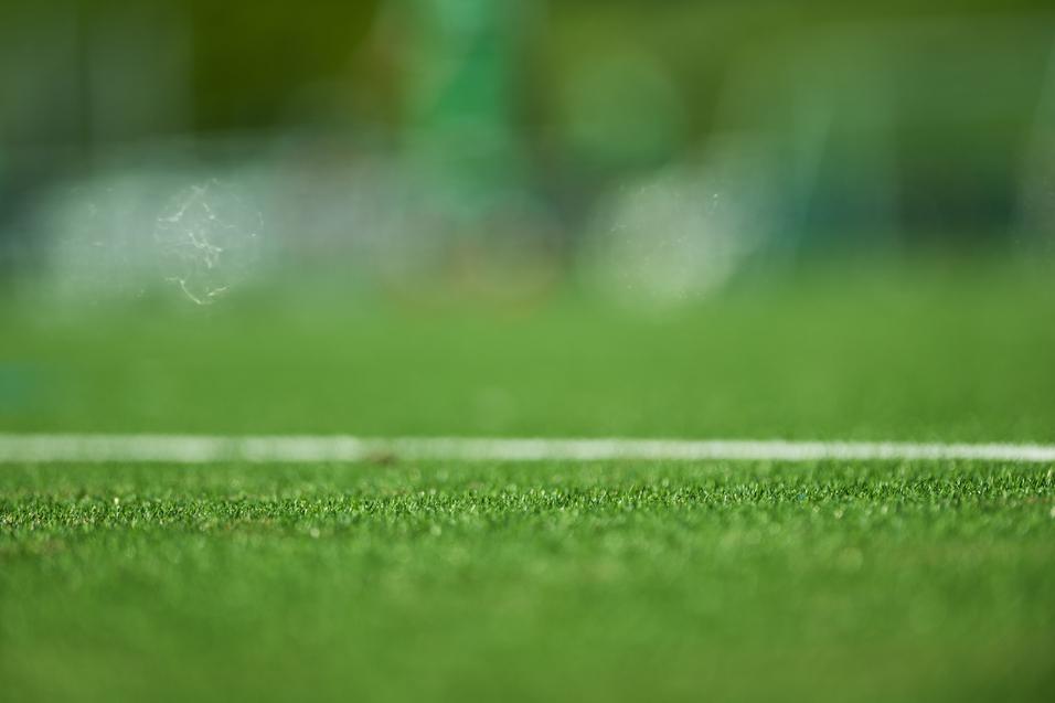Nahaufnahme des Grases auf einem Fußballfeld mit einem weißen Linienrand im Vordergrund.